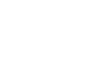 House of Zenshen